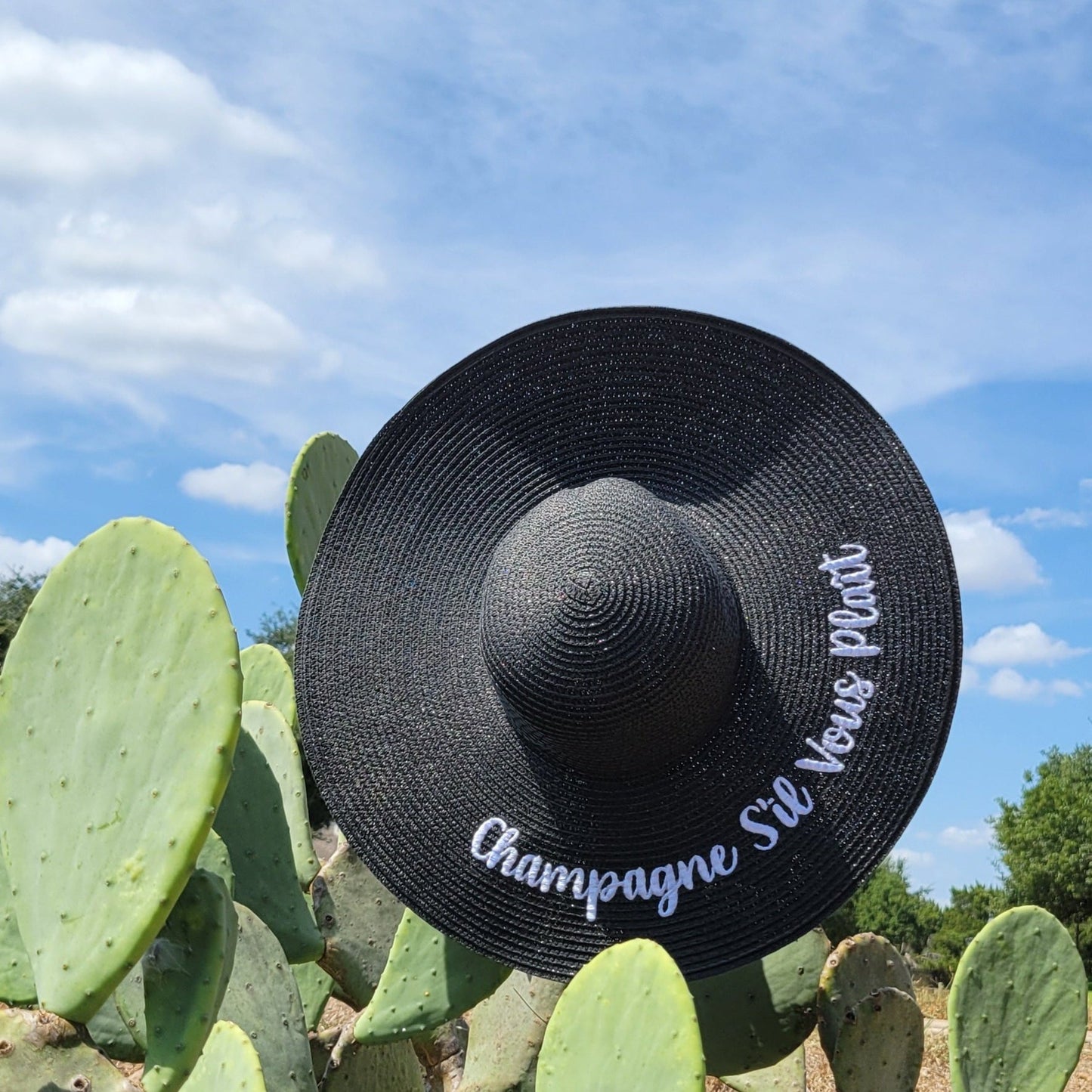 Champagne S'il Vous Plaît - Embroidered Floppy Hat - Bubbles Make Me Happy